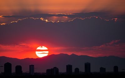 20200828 - 8641 Lion King Sun