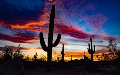 20201103 - 8101 Election Night Sunset